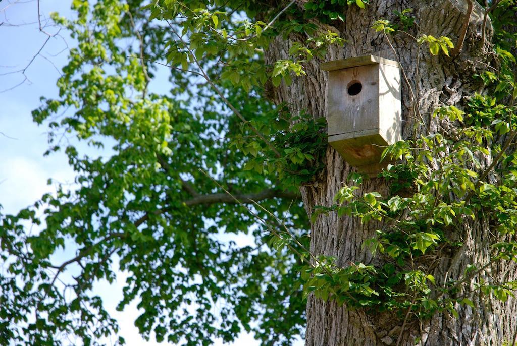 Österlens Karlsgård Löderup Exteriér fotografie